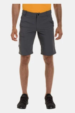 Berghaus Mens Navigator 2.0 Shorts -Urban Threads a1c141721313b