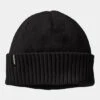 Patagonia Brodeo Beanie