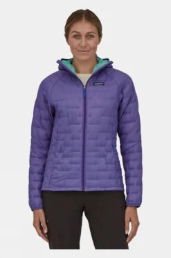Patagonia Womens Micro Puff Hoody -Urban Threads b11abb0171 9090 b