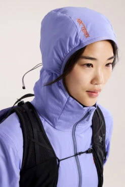 Arc'teryx Womens Atom Hooded Jacket -Urban Threads b11acb0430 9393 h