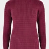 Dubarry Womens Hacketstown Sweater 1 Dubarry Womens Hacketstown Sweater -Urban Threads b11bfa0215 9090 a