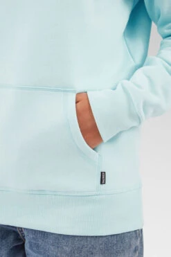 Womens Velator Pop Hoodie -Urban Threads b11bfa0336 4343 y