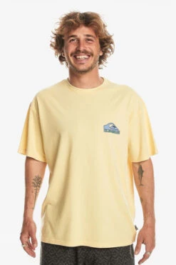 Quiksilver Mens Take Us Back Logo T-Shirt 8 Quiksilver Mens Take Us Back Logo T-Shirt -Urban Threads b12bac0898 2323 c