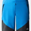 The North Face Mens Circadian Alpine Shorts -Urban Threads b12caa0110 4371 a