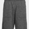 Icebreaker Mens Shifter Shorts -Urban Threads b12caa0242 7171 a