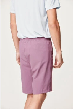 Picture Mens Lenu Stretch Shorts 9 Picture Mens Lenu Stretch Shorts -Urban Threads b12caa0456 9292 d