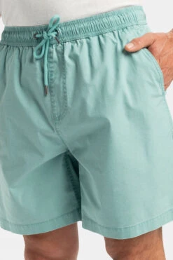 Quiksilver Mens Taxer Shorts -Urban Threads b12caa0575 5959 g