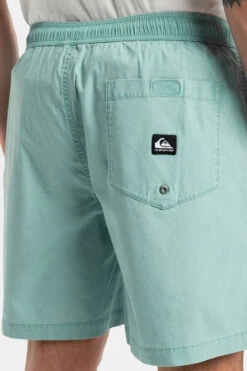 Quiksilver Mens Taxer Shorts -Urban Threads b12caa0575 5959 h