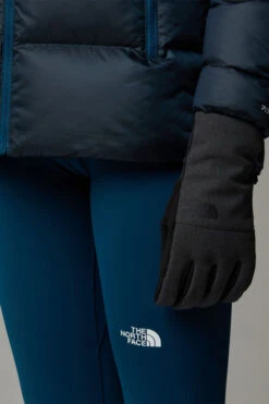 The North Face Womens Apex Insulated Etip Gloves -Urban Threads b13jab0131 7171 z