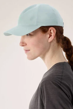 Arc'teryx Mens Bird Word Cap -Urban Threads b13jfb0499 5353 e