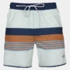 Barts Mens Pacose Swim Shorts -Urban Threads f12caa0052 404g a