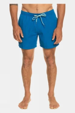 Quiksilver Mens Everyday Volley 15" Swim Shorts -Urban Threads f12ica0018 4141 c