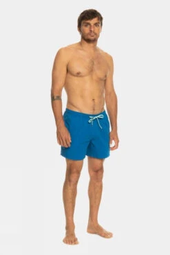 Quiksilver Mens Everyday Volley 15" Swim Shorts -Urban Threads f12ica0018 4141 f