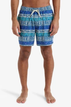 Quiksilver Mens Surfsilk Straight Volley 16" Swim Shorts -Urban Threads f12ica0307 4187 c
