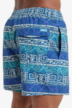 Quiksilver Mens Surfsilk Straight Volley 16" Swim Shorts -Urban Threads f12ica0307 4187 f