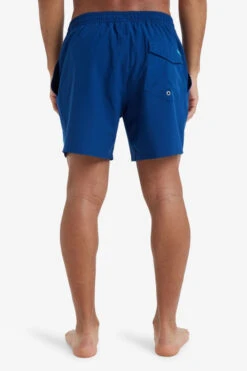 Quiksilver Mens Surfsilk Solid Volley 16" Swim Shorts -Urban Threads f12ica0309 4141 d