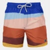 Barts Mens Mirro Swim Shorts -Urban Threads f12ich0011 4026 a