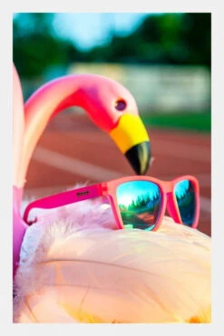 Goodr Flamingos On A Booze Cruise Sunglasses 9 Goodr Flamingos On A Booze Cruise Sunglasses -Urban Threads m42100303b40y